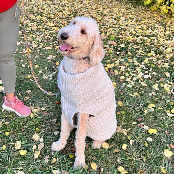 ✨Host Pick! Boots & Barkley cabled dog sweater XL NWT - Picture 3 of 11